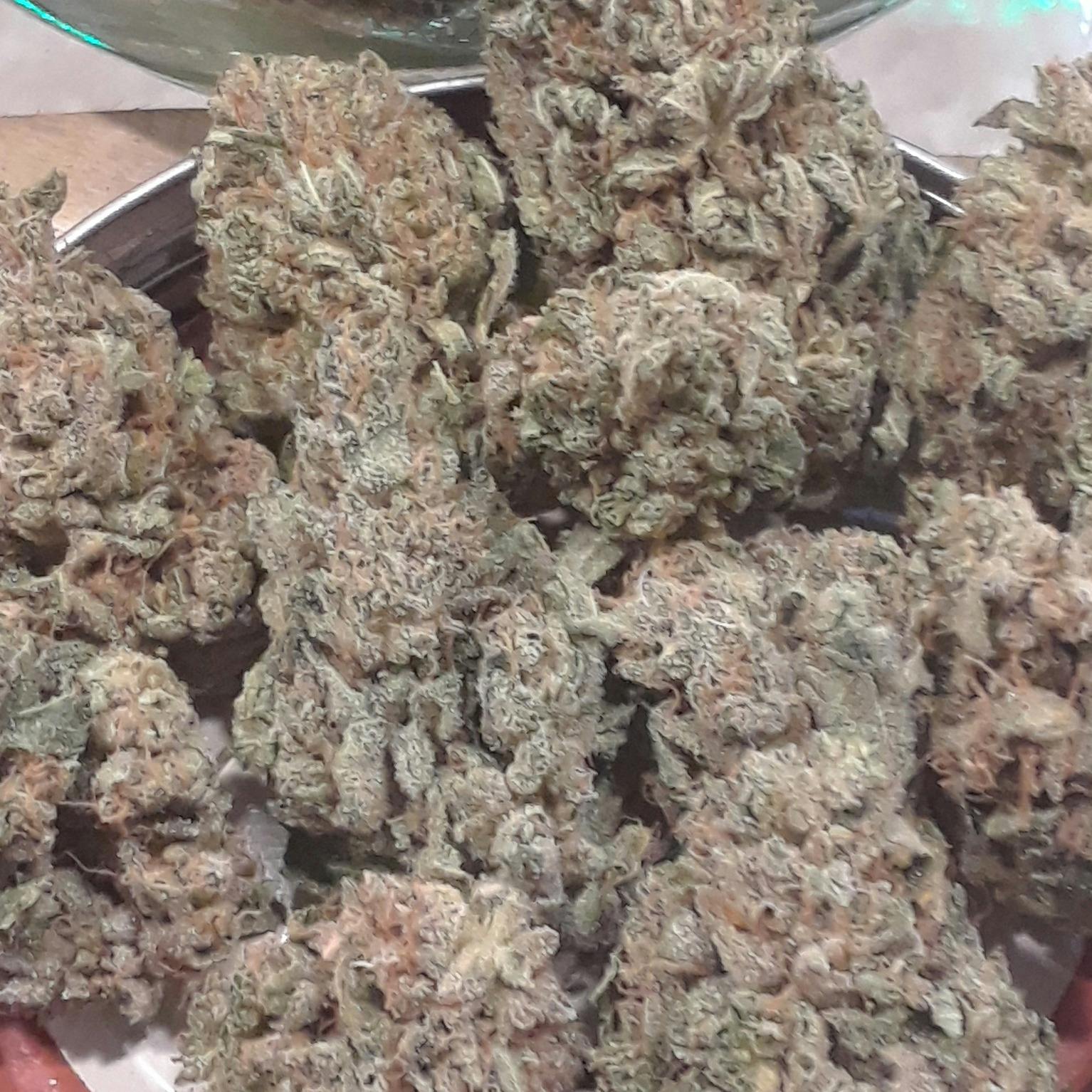 Z-Purps